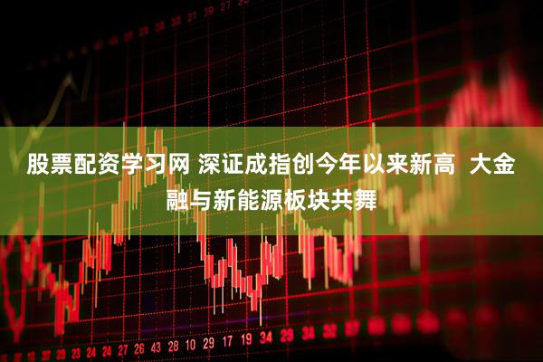 股票配资学习网 深证成指创今年以来新高  大金融与新能源板块共舞